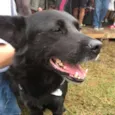 Sam