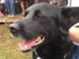 Sam