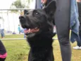 Sam
