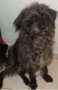 Belinha
