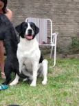 Kiara