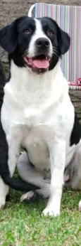Kiara