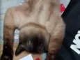 Samantha