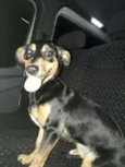 Lola