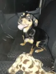 Lola