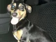 Lola