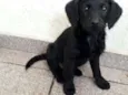 Toia e Tatá