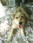 Milly 