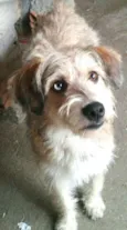 Milly 