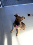 Bruce (Vulgo Sujeito
