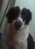 Billy