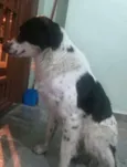 Billy