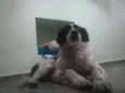 Billy