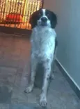 Billy