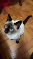 MIGUEL