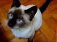 MIGUEL