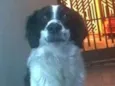 Billy