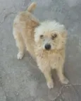 Kelly