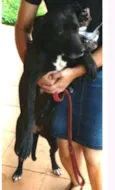 Vitória
