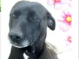 Vitória