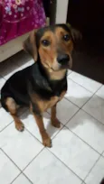 Zeus