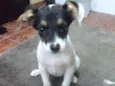 Sem nome