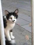 RITINHA