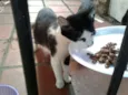 RITINHA