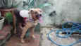 Belinha