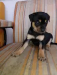 Fred