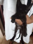 Boris