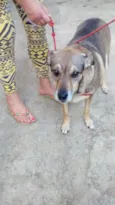Nina 