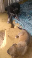 Estão sem nomed