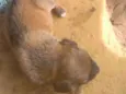 Estão sem nomed