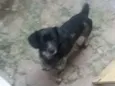 Baixinho