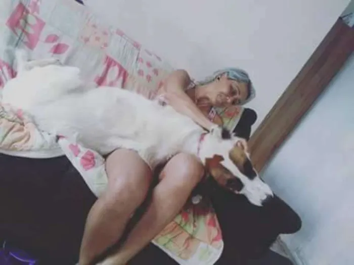 Cachorro raça Rnd idade 1 ano nome Lorde 