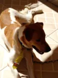 Paçoca