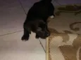 Bella