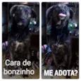 Neguinho