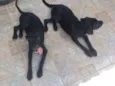 Zeus e hera