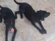 Zeus e hera