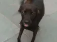 Milly