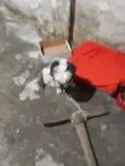 Bilu