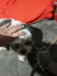 Bilu