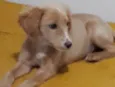 Lua
