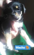 BEBÊS P ADOÇÃO!