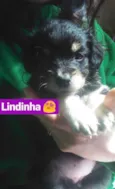 BEBÊS P ADOÇÃO!
