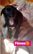 BEBÊS P ADOÇÃO!