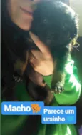 BEBÊS P ADOÇÃO!