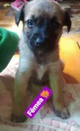 BEBÊS P ADOÇÃO!